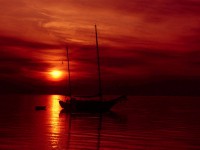 /album/photo-gallery-ljubov-i-romantika/love-and-romance-wallpapers-009-jpg/